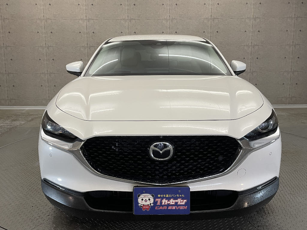 マツダ CX-309枚目