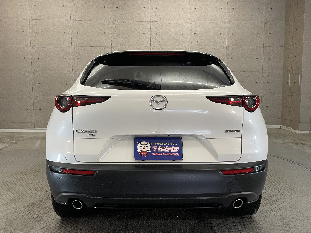 マツダ CX-3011枚目