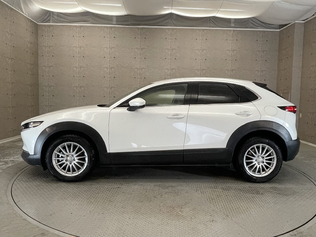 マツダ CX-3014枚目