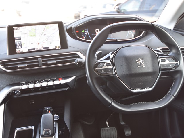 プジョー300818枚目