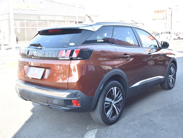 プジョー30081枚目