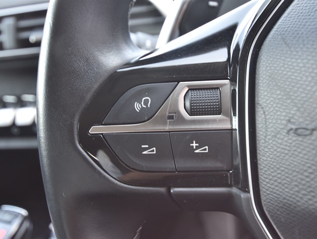 プジョー300819枚目