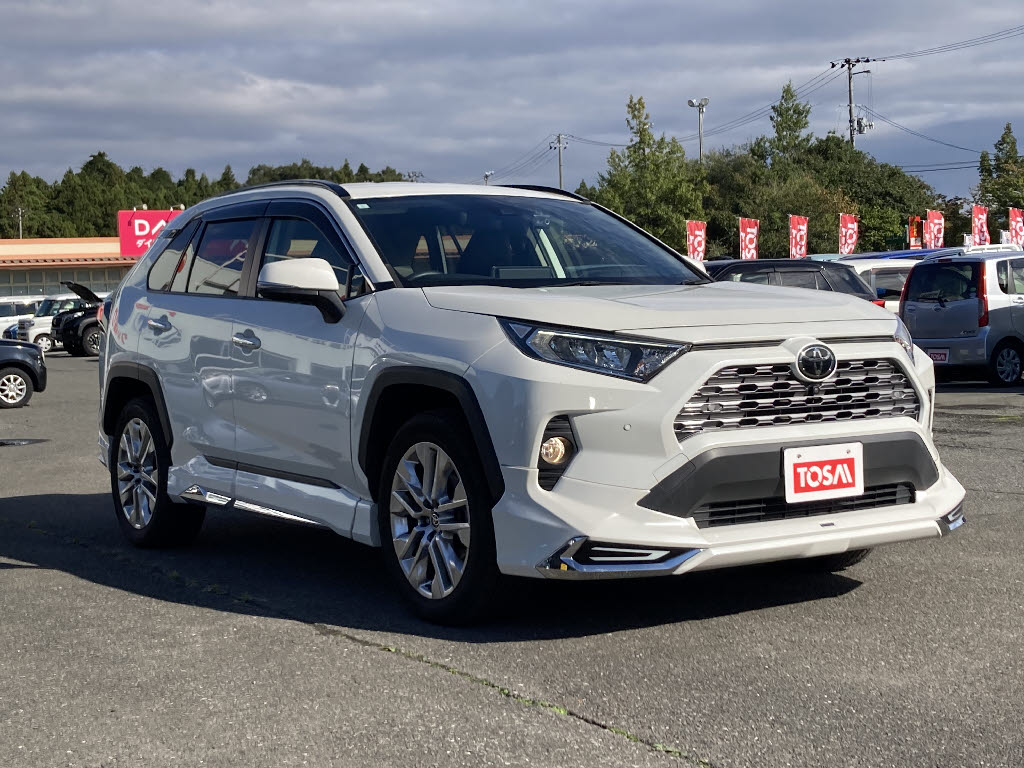 トヨタ RAV-419枚目
