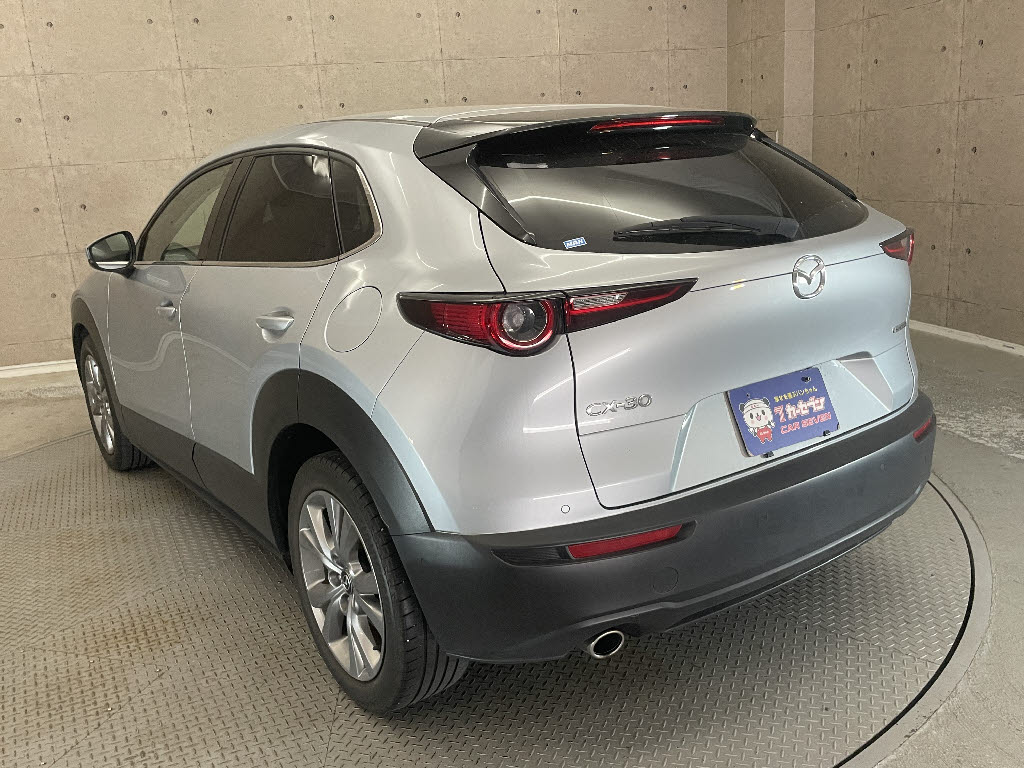 マツダ CX-3010枚目