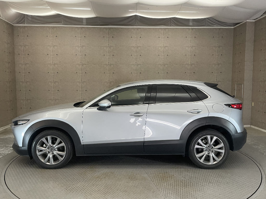 マツダ CX-3012枚目