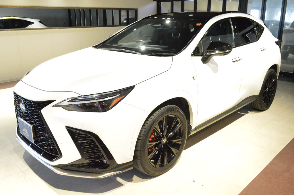 レクサス NX1枚目