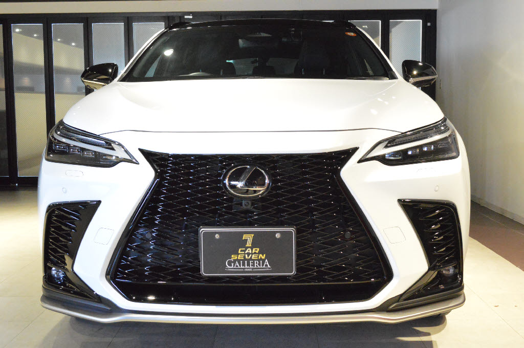 レクサス NX4枚目