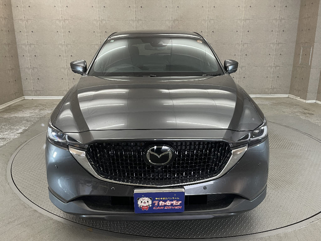 マツダ ＣＸ－８9枚目