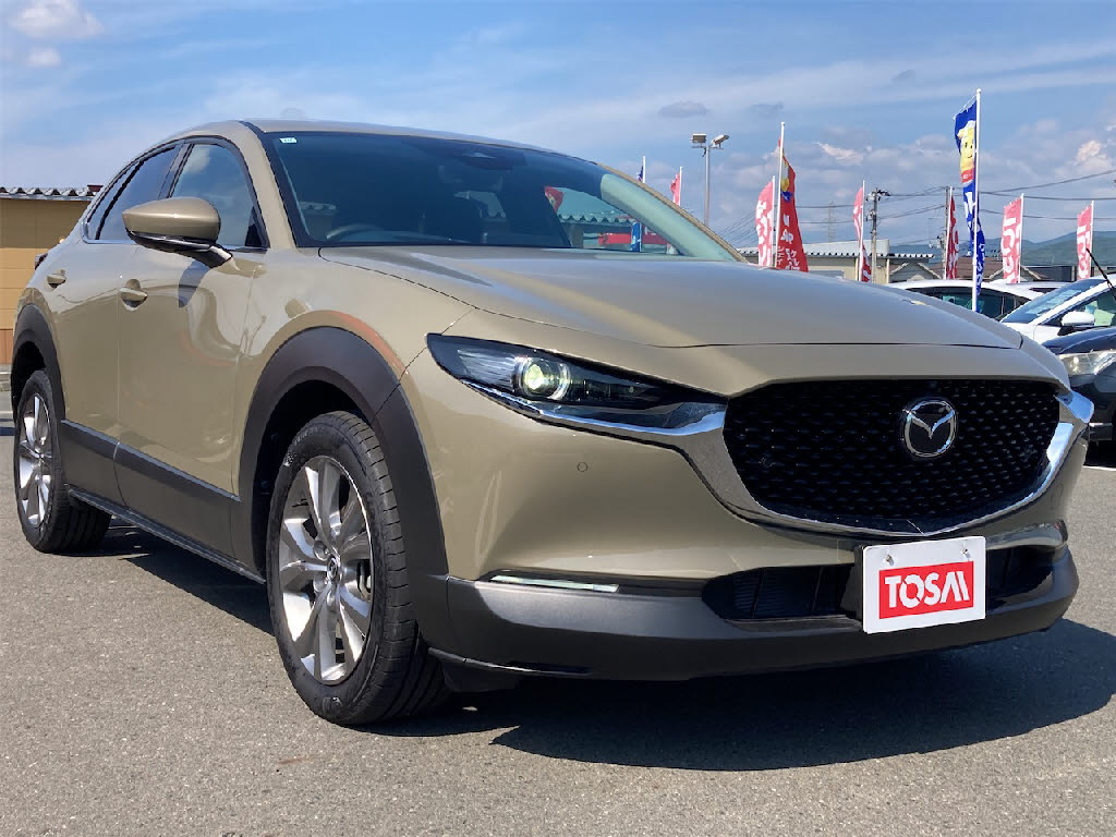 マツダ ＣＸ－３０3枚目