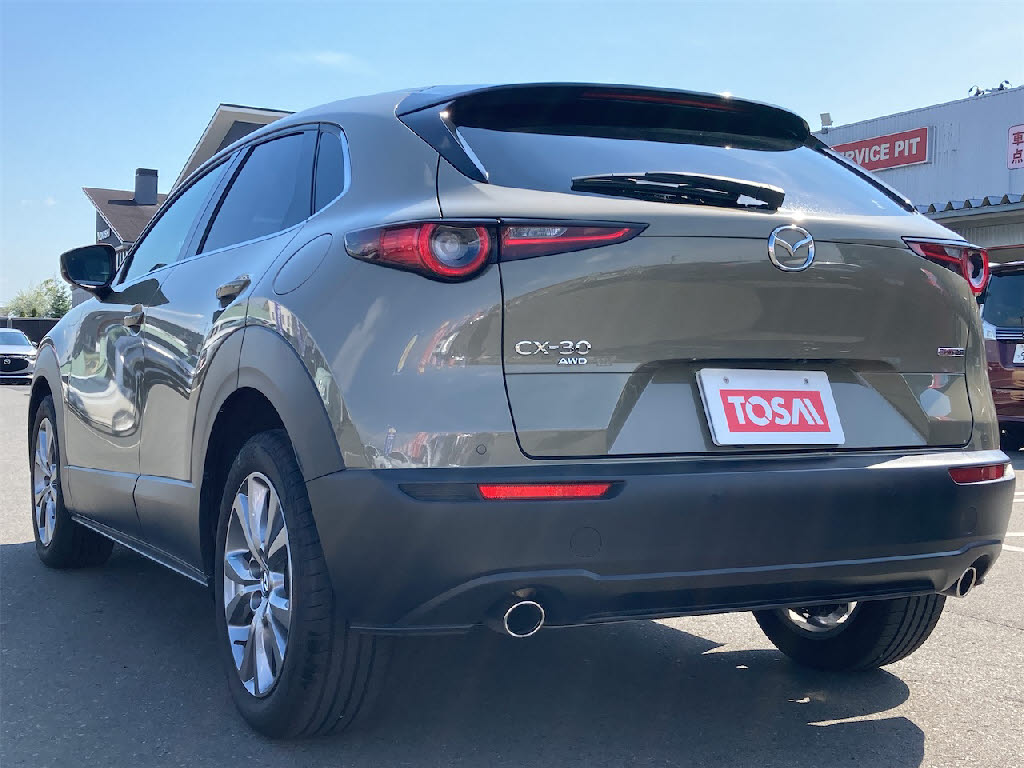 マツダ ＣＸ－３０6枚目