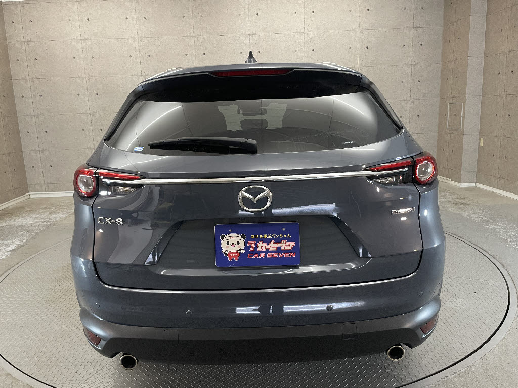 マツダ ＣＸ－８11枚目