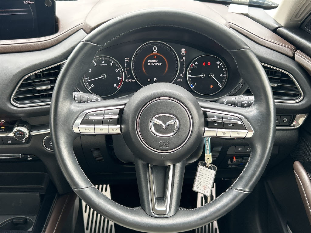 マツダ ＣＸ－３０4枚目