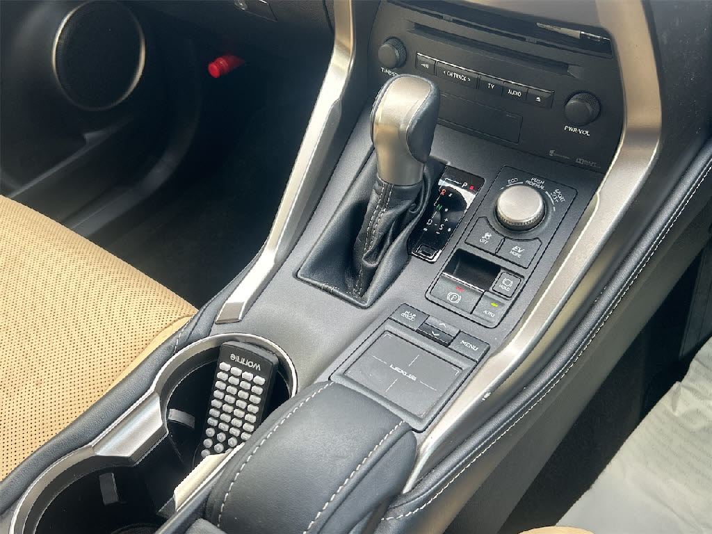 レクサス NX14枚目