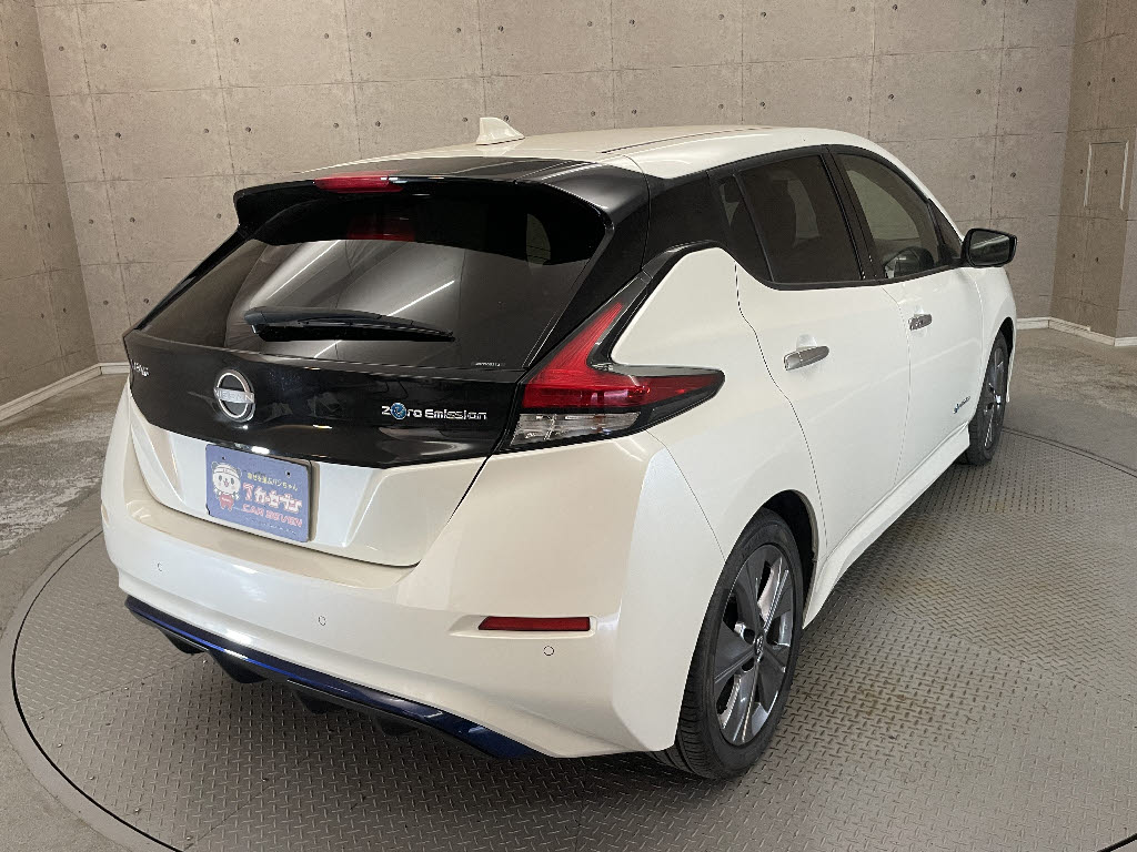 ニッサン リーフ1枚目