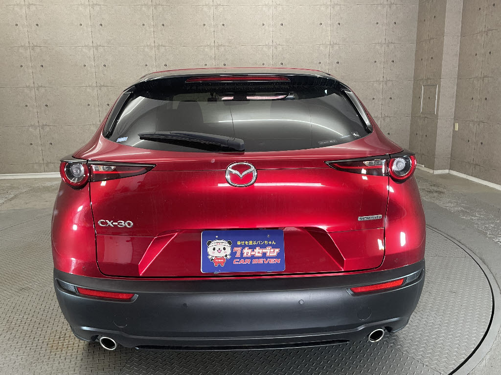 マツダ CX-3010枚目