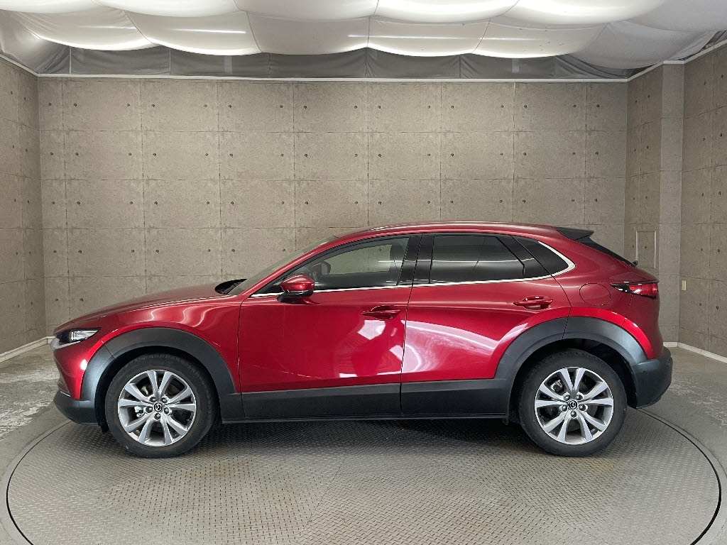 マツダ CX-3012枚目