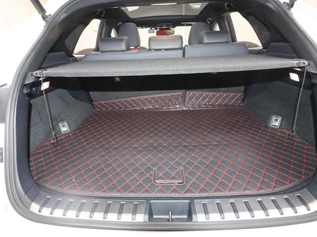 レクサス NX11枚目