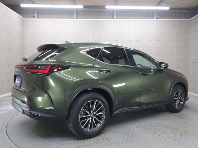 レクサス NX1枚目