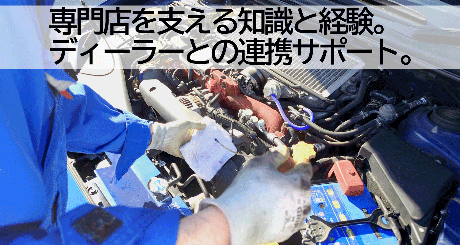 専門店を支える知識と経験。ディーラーとの連携サポート。